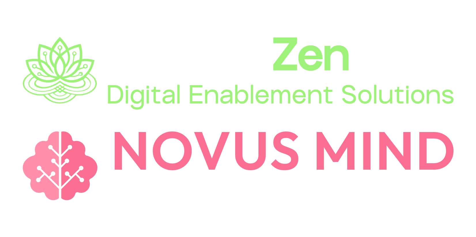 NovusMind Collectives splash screen